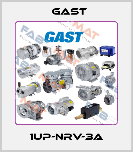 1UP-NRV-3A Gast