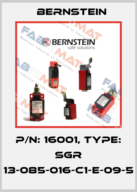 P/N: 16001, Type: SGR 13-085-016-C1-E-09-5 Bernstein