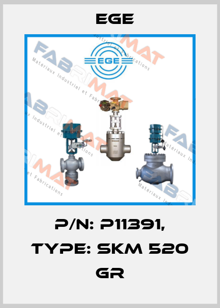 p/n: P11391, Type: SKM 520 GR Ege