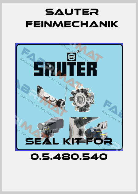Seal kit for 0.5.480.540 Sauter Feinmechanik