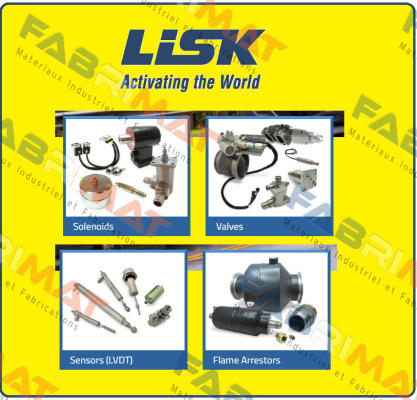 D12-2279D-632 Gw Lisk