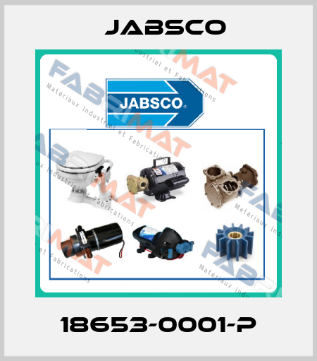 18653-0001-P Jabsco