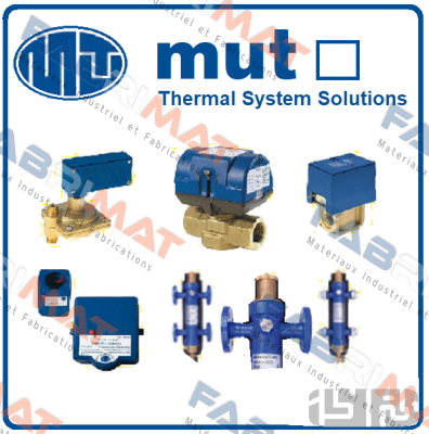 7.004.00336 /  SFS 105 M1 G 1/4" IP54 Mut Meccanica Tovo SpA