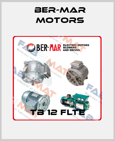 TB 12 FLTE Ber-Mar Motors