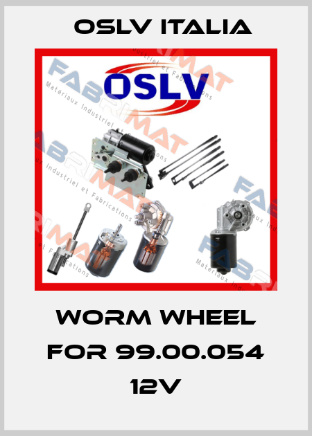worm wheel for 99.00.054 12V OSLV Italia