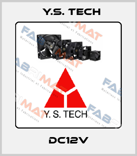DC12V Y.S. Tech