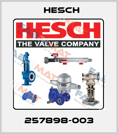 257898-003 Hesch