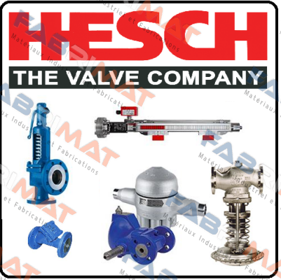 257898-003 Hesch