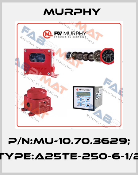 P/N:MU-10.70.3629; Type:A25TE-250-6-1/2 Murphy