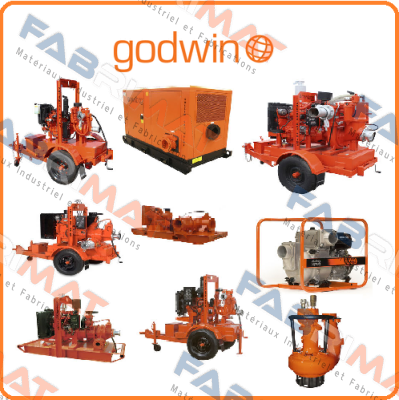 "6"" X 50"" Godwin Pumps