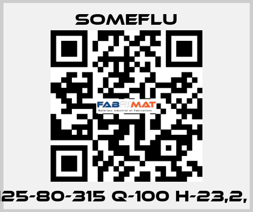 NP-S 125-80-315 Q-100 H-23,2, Ф-280 SOMEFLU