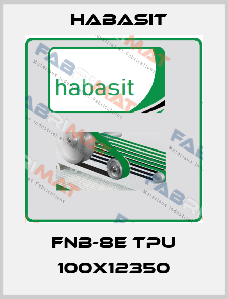 FNB-8E TPU 100X12350 Habasit