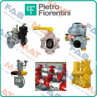 G250 DN80 rotary type Pietro Fiorentini