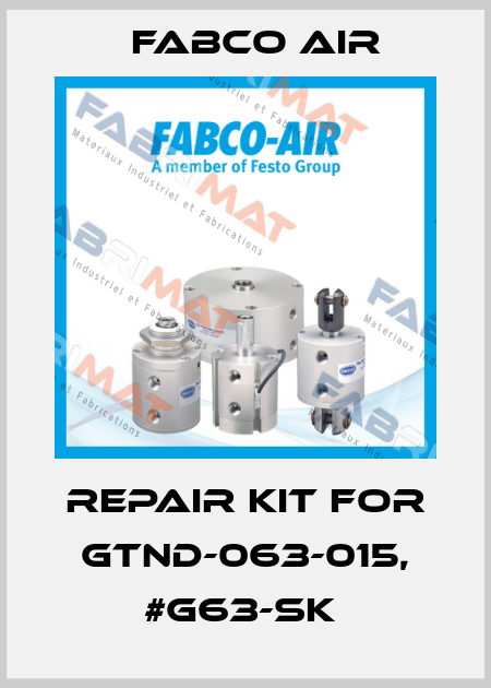 REPAIR KIT FOR GTND-063-015, #G63-SK  Fabco Air