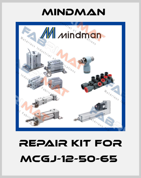 REPAIR KIT FOR MCGJ-12-50-65  Mindman