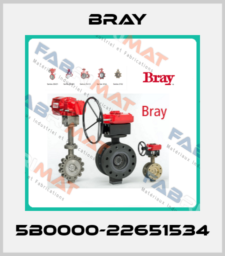 5B0000-22651534 Bray