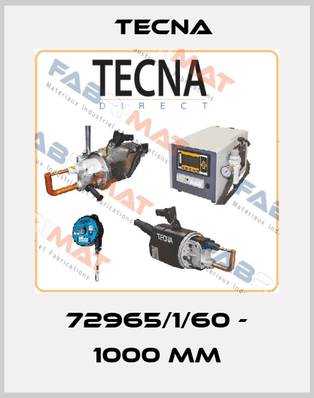 72965/1/60 - 1000 MM Tecna