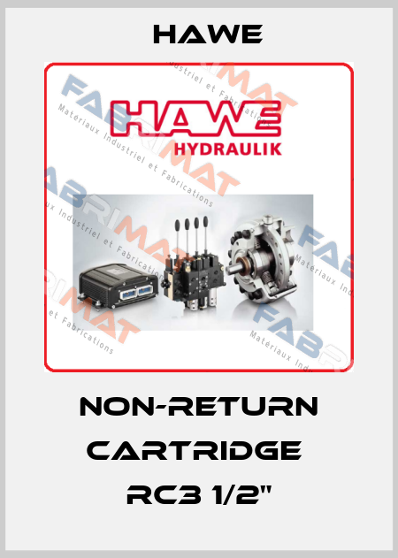 non-return cartridge  RC3 1/2" Hawe
