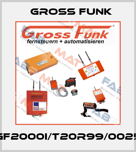 gf2000i/t20r99/0025 Gross Funk