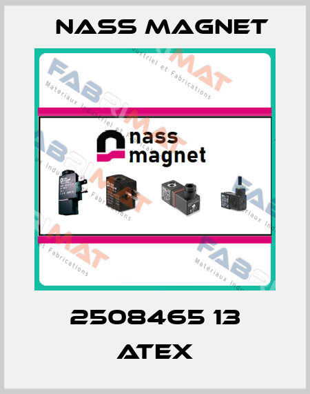 2508465 13 ATEX Nass Magnet