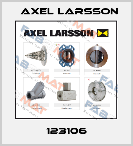 123106 AXEL LARSSON