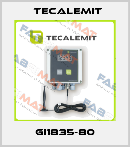 GI1835-80 Tecalemit