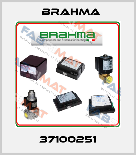 37100251 Brahma