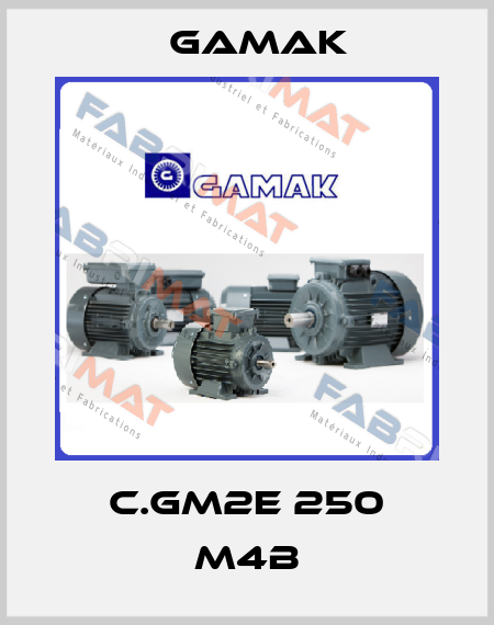 C.GM2E 250 M4B Gamak