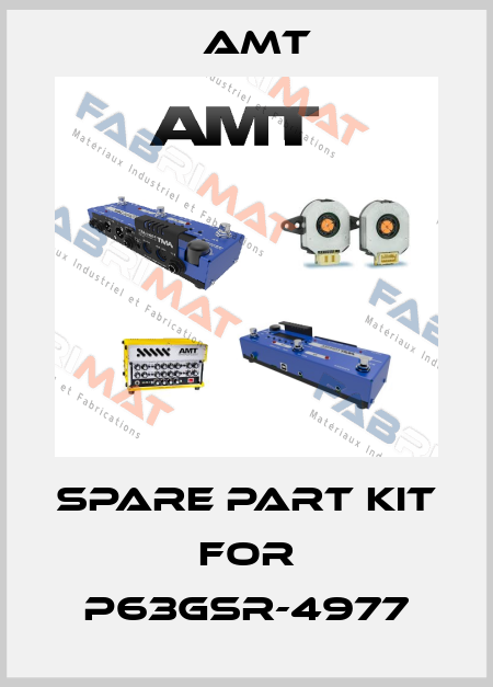 Spare part kit for P63GSR-4977 AMT