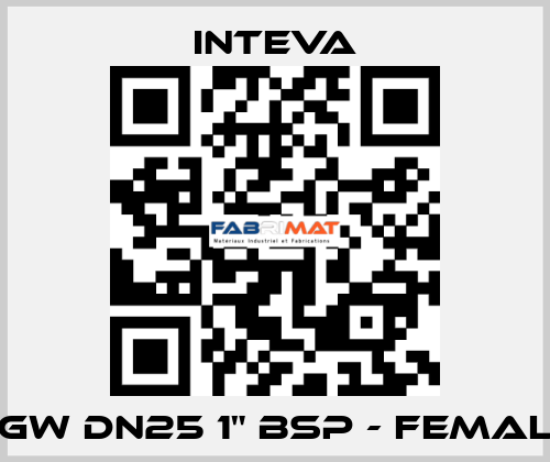 TGW DN25 1" BSP - female Inteva