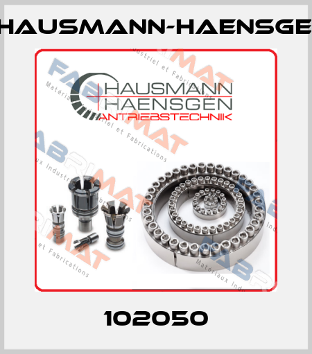102050 Hausmann-Haensgen