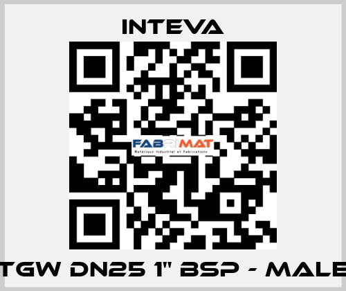 TGW DN25 1" BSP - male Inteva