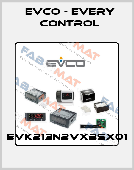 EVK213N2VXBSX01 EVCO - Every Control