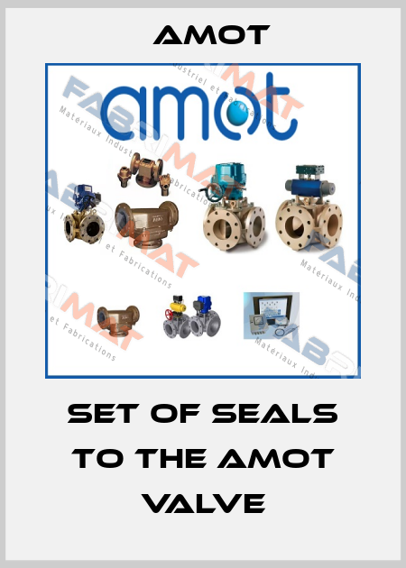 Set of seals to the Amot valve Amot