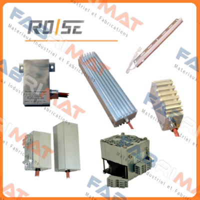 TYPE ROS.45804515 Rose