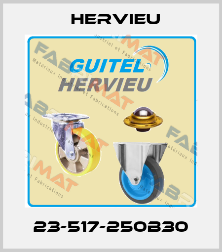 23-517-250B30 Hervieu