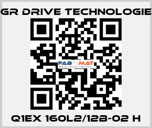 Q1EX 160L2/12B-02 H PGR Drive Technologies