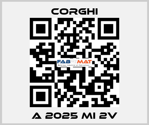 A 2025 MI 2V Corghi