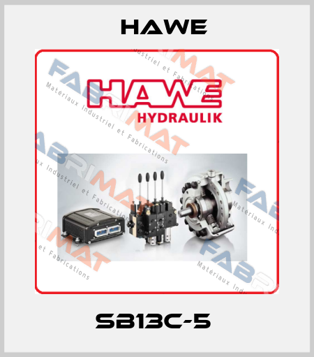 SB13C-5  Hawe