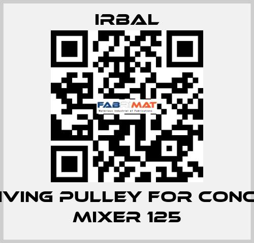 receiving pulley for Concrete mixer 125 irbal