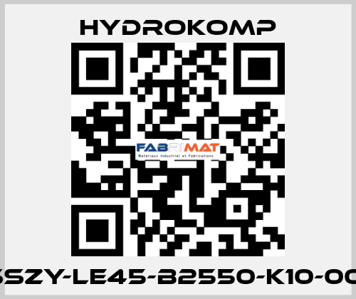       SSZY-LE45-B2550-K10-001 HYDROKOMP