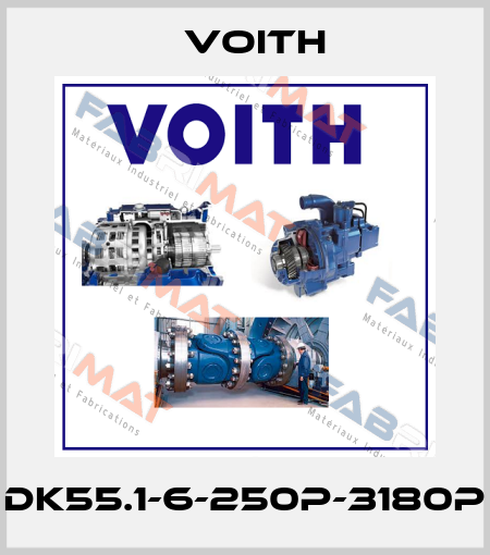 DK55.1-6-250P-3180P Voith