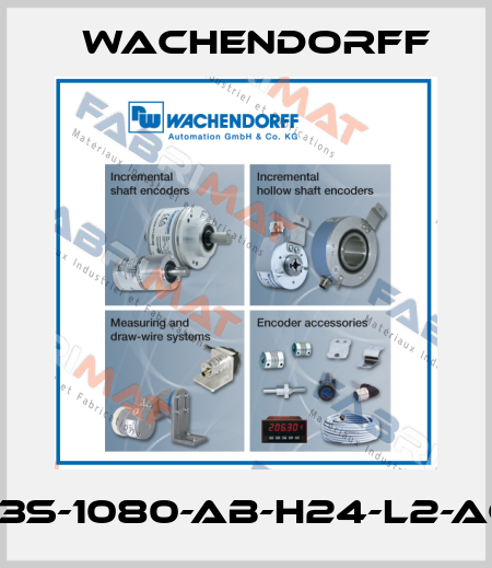 WDG-53S-1080-AB-H24-L2-ACA-100 Wachendorff