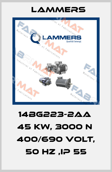 14BG223-2AA  45 KW, 3000 N  400/690 VOLT, 50 HZ ,IP 55 Lammers