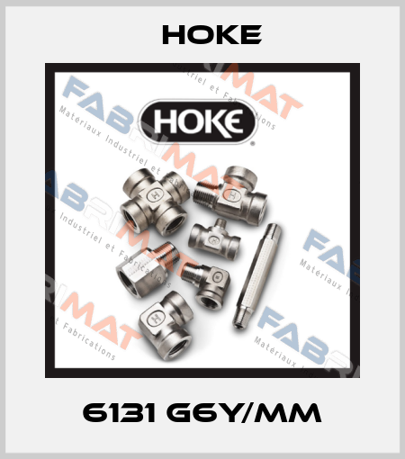 6131 G6Y/MM Hoke