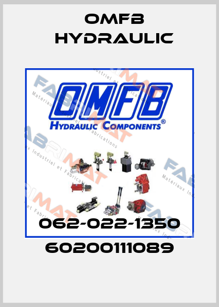 062-022-1350 60200111089 OMFB Hydraulic