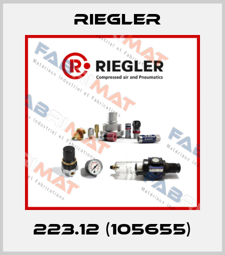 223.12 (105655) Riegler