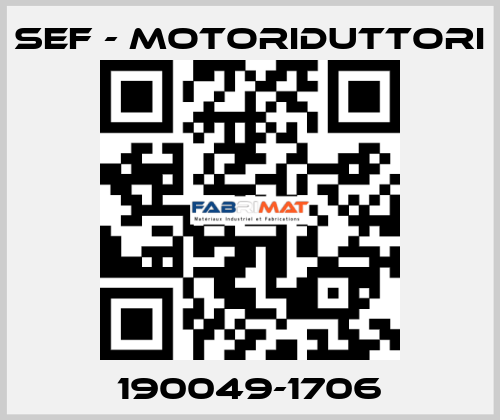 190049-1706 SEF - MOTORIDUTTORI