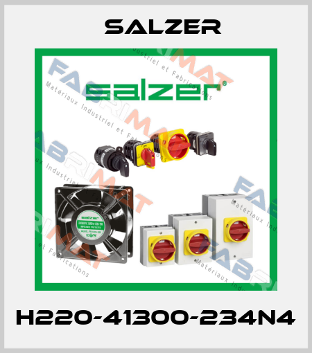 H220-41300-234N4 Salzer