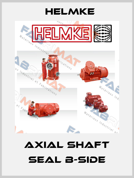 Axial shaft seal B-side Helmke